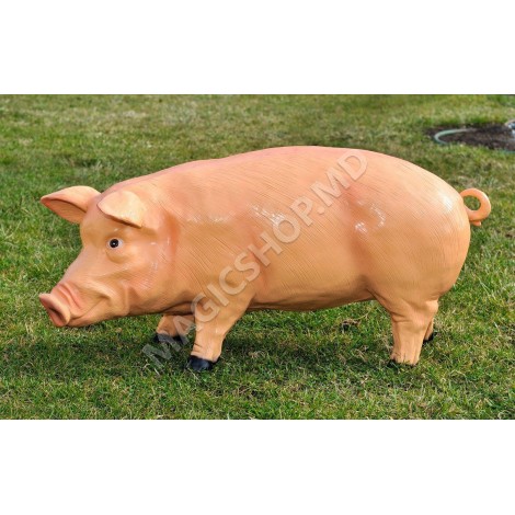 Figurina Cera Purcel